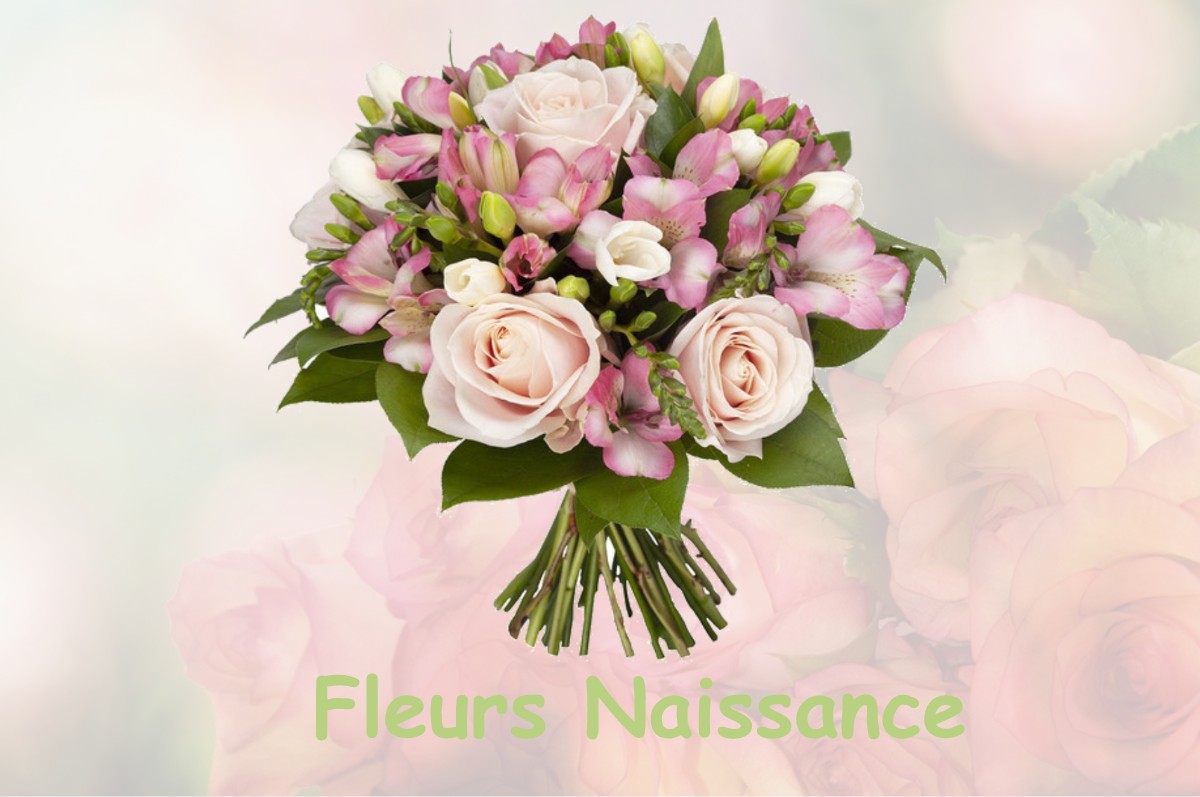 fleurs naissance LA-SALLE-EN-BEAUMONT