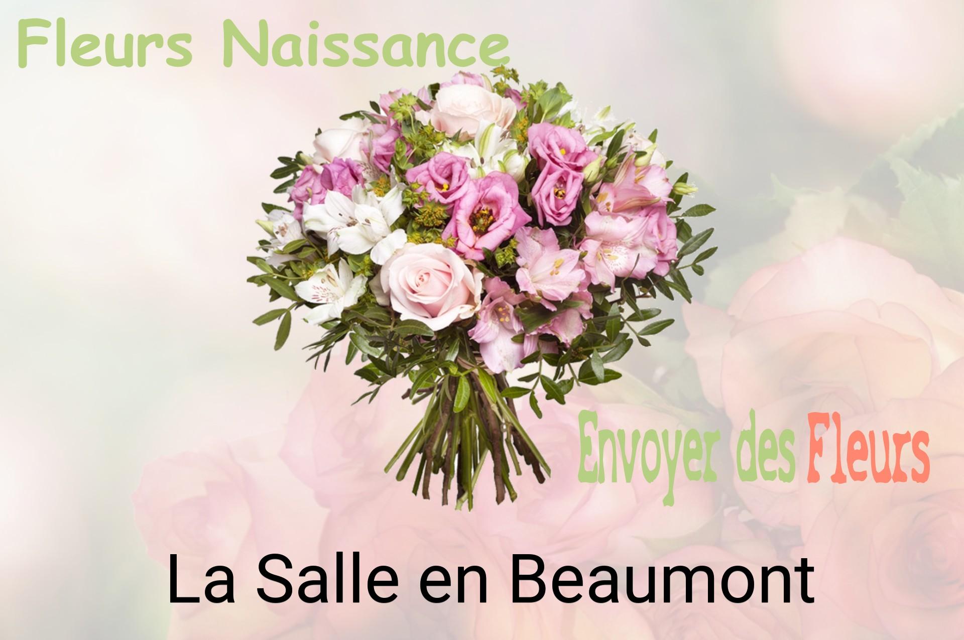Bouquet de fleurs de naissance livré à La Salle-en-Beaumont