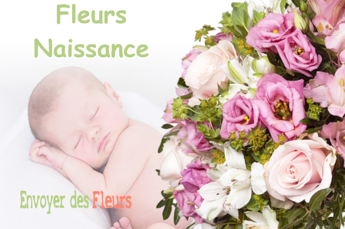 lIVRAISON FLEURS NAISSANCE à LA-SALLE-EN-BEAUMONT